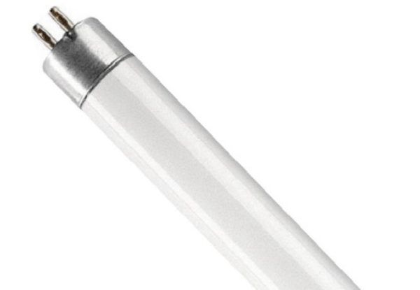 LAMPADA FLUOR 10W T-8 33CM *C*
